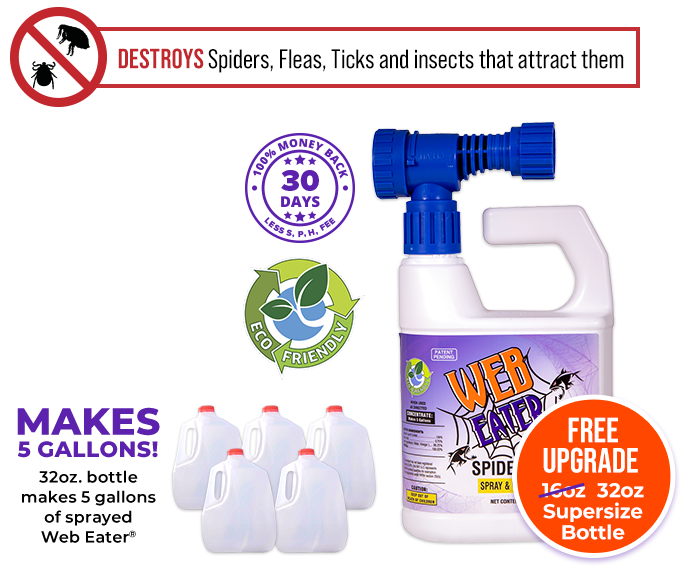 Makes 5 Gallons! 32oz. bottle makes 5 gallons of sprayed Web Eater®