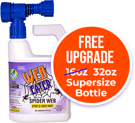 Single bottle