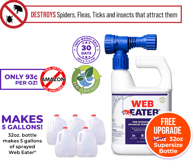 Makes 5 Gallons! 32oz. bottle makes 5 gallons of sprayed Web Eater™